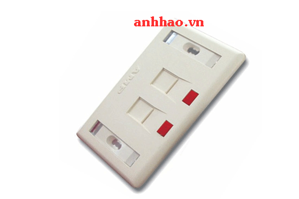 Mặt wallplate AMP 2 cổng hình chữ nhật