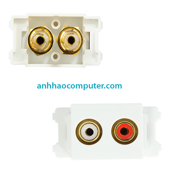 Nhân audio SINO AMIGO P37B
