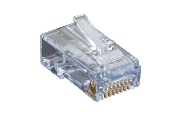 Hạt mạng cat6 1 mảnh chính hãng AMP